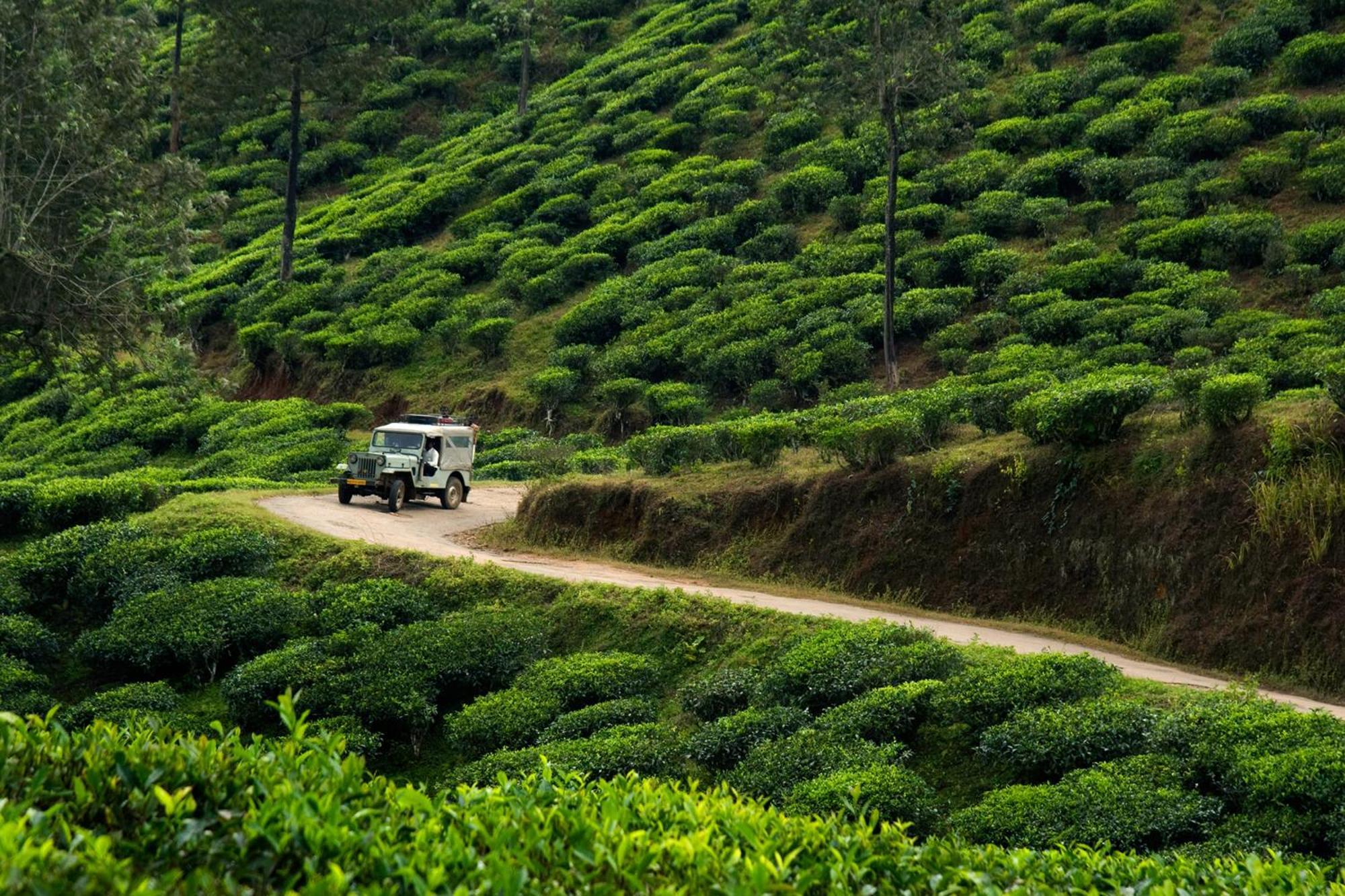 Spicegreen Homestay,thekkady Homestay *