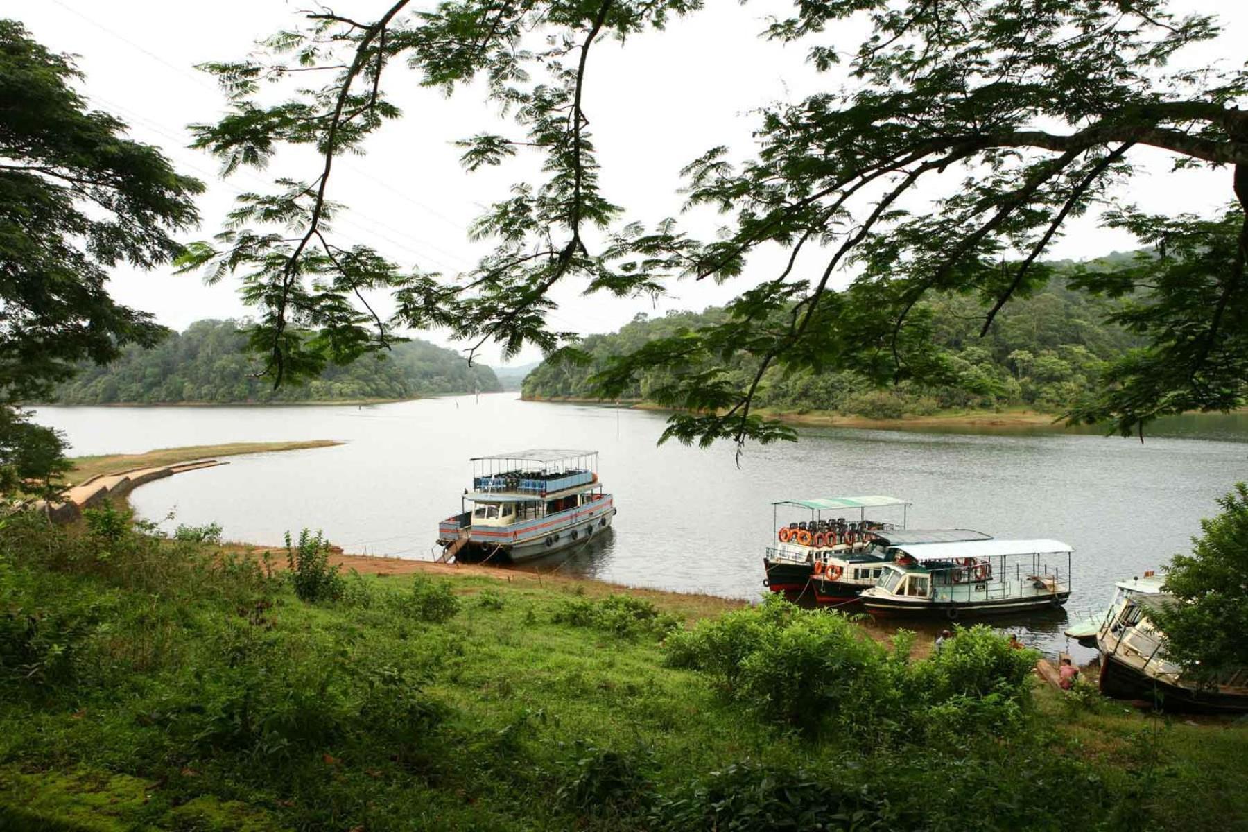 Spicegreen Homestay,thekkady *