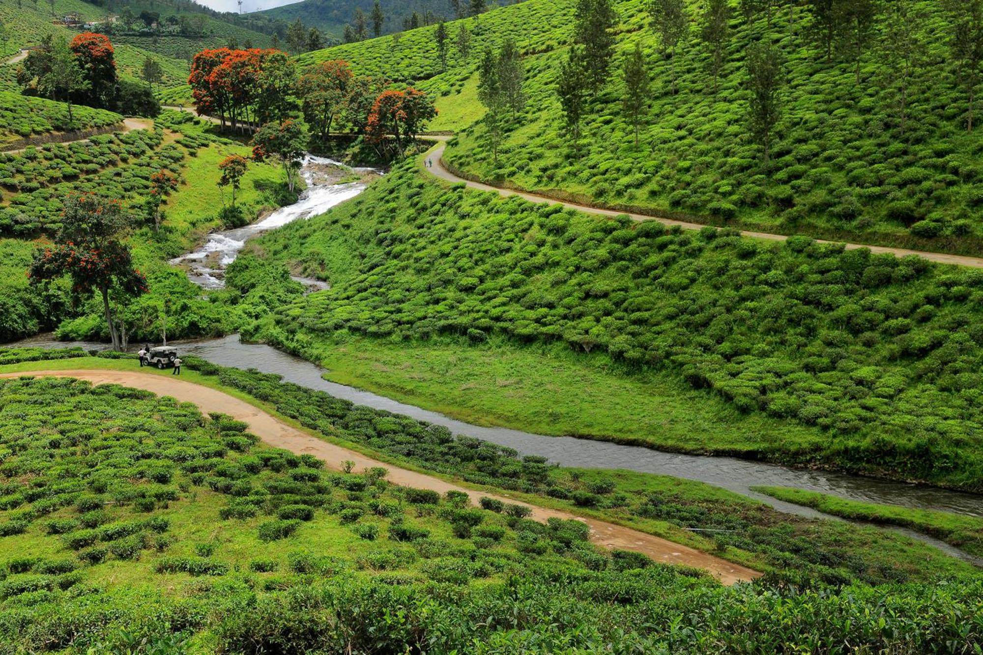 Spicegreen Homestay,thekkady Homestay Thekkady