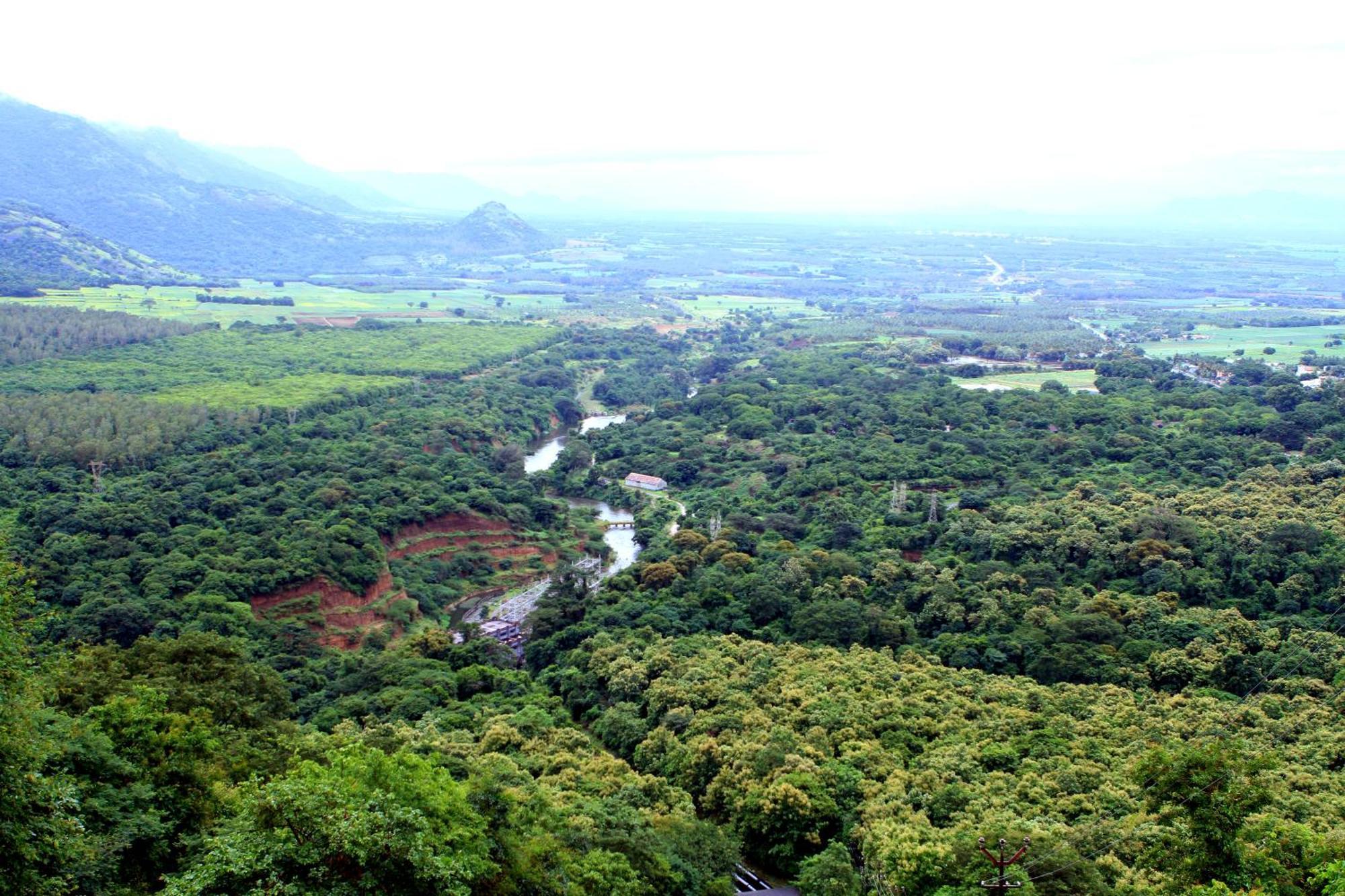 Homestay Spicegreen Homestay,thekkady Thekkady