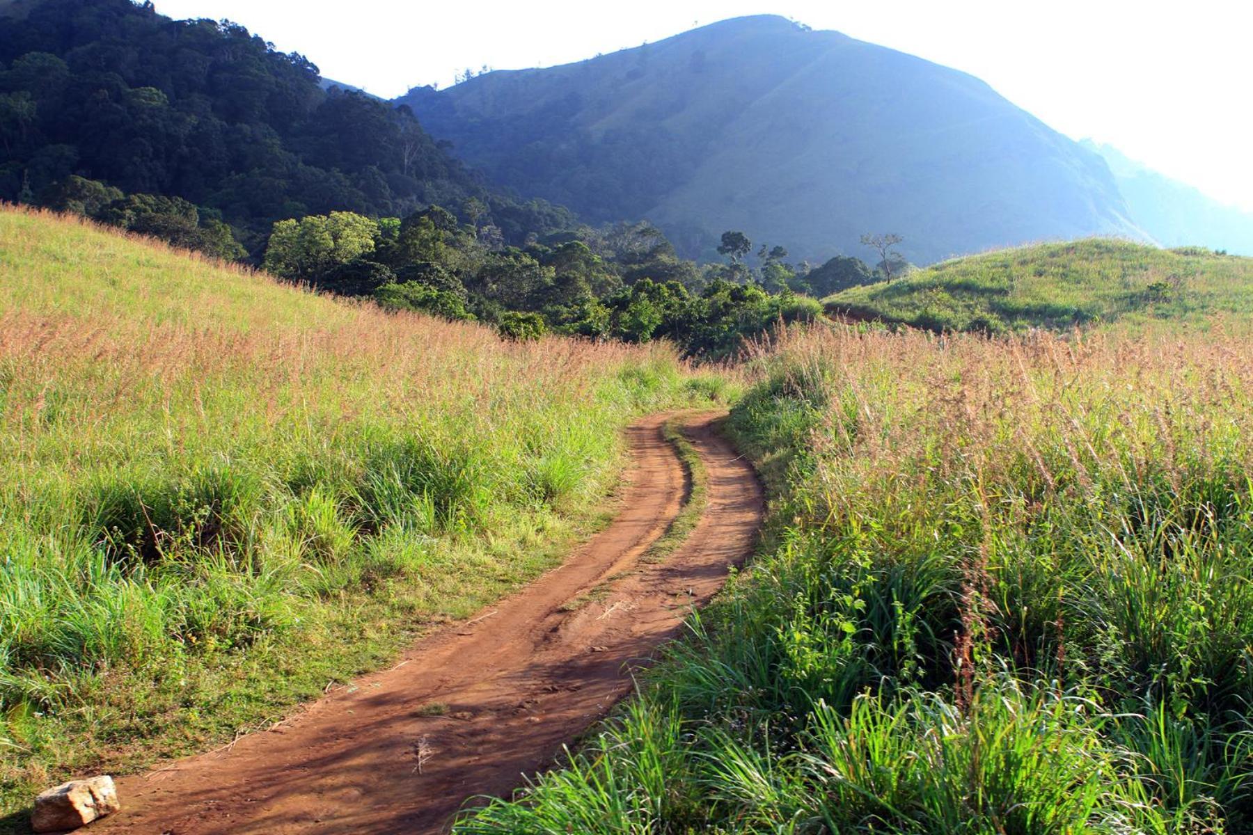 Spicegreen Homestay,thekkady
