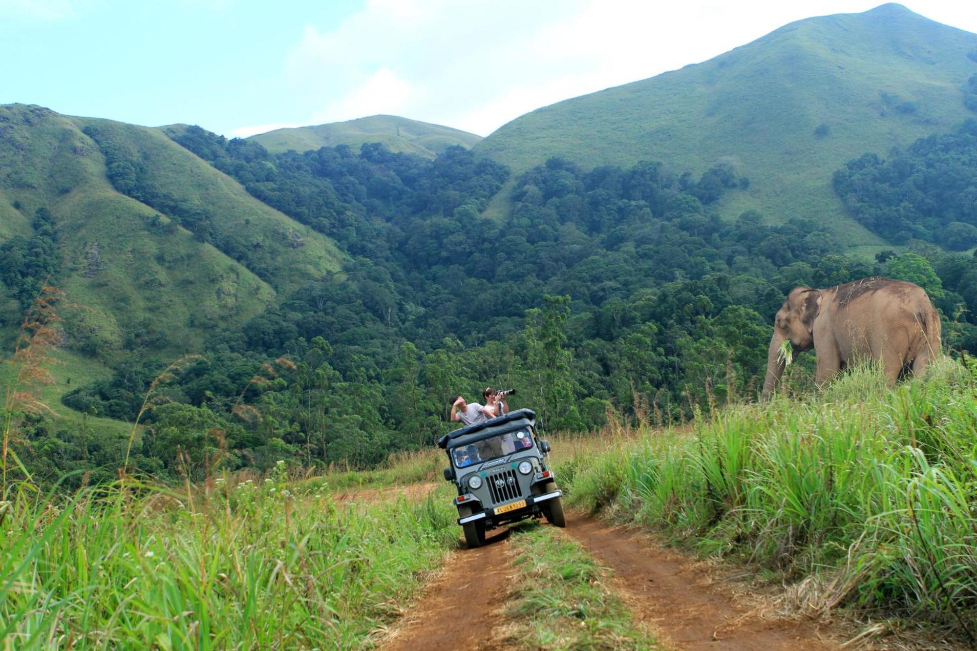 Spicegreen Homestay,thekkady *